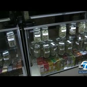 The battle in opposition to the lucrative industry of illegal marijuana dispensaries in California I ABC7
