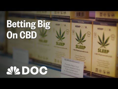 Having a bet Great On CBD: How To Originate A Industry Few Of us Realize | NBC Files