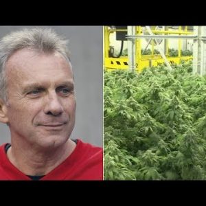 San Francisco 49ers legend Joe Montana is coming into into the marijuana industry