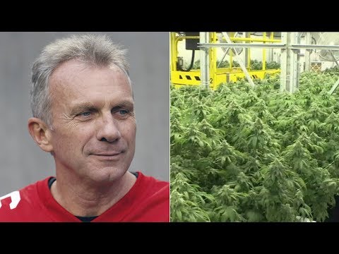San Francisco 49ers legend Joe Montana is coming into into the marijuana industry